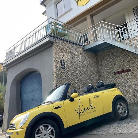 Villa Fink シュランベルク エクステリア 写真