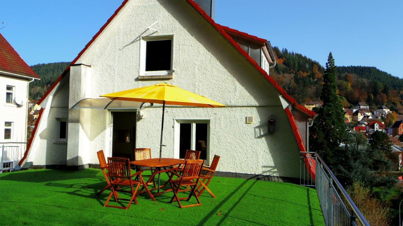 Villa Fink シュランベルク エクステリア 写真